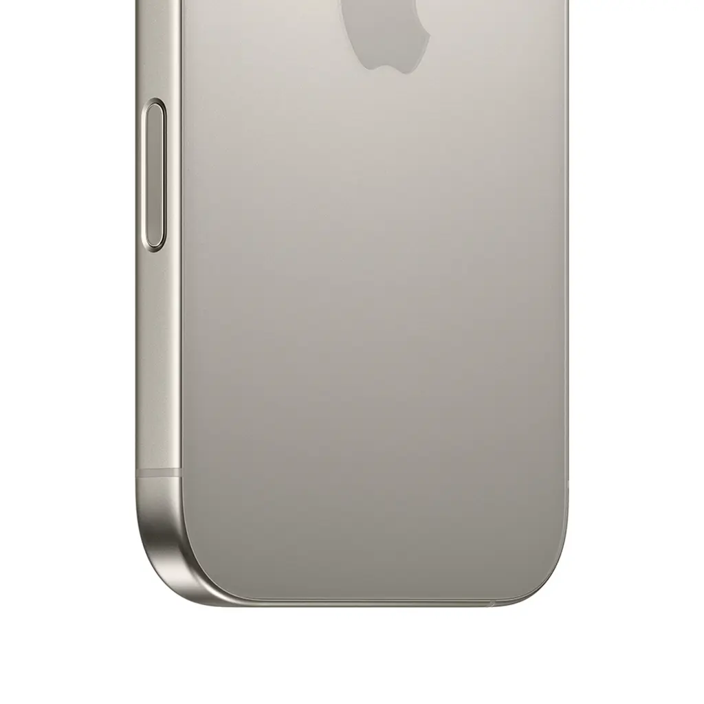 5.webp