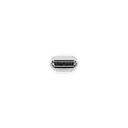 3.webp