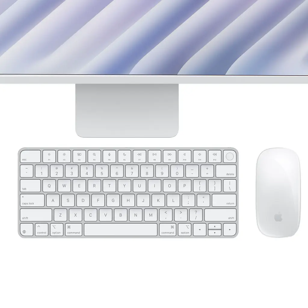3.webp