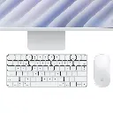 3.webp